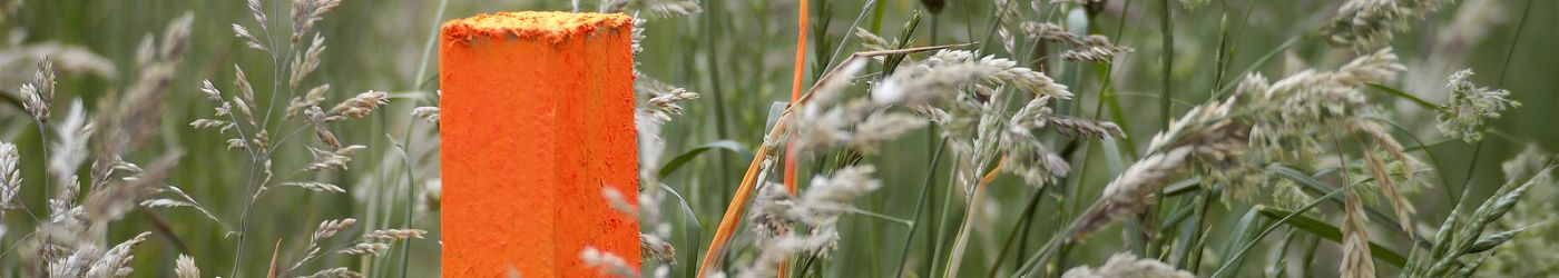 Signalisierungspflock